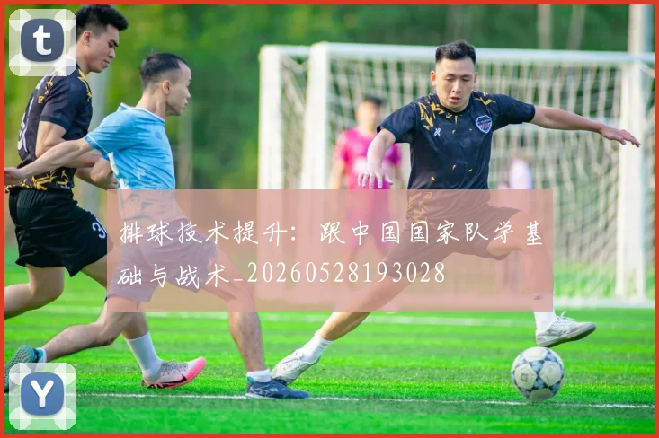排球技术提升:跟中国国家队学基础与战术_20260528193028