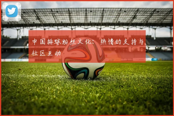 中国排球粉丝文化:热情的支持与社区互动