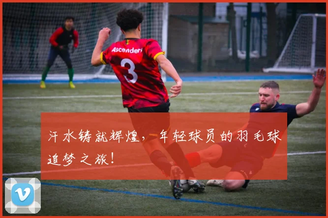汗水铸就辉煌,年轻球员的羽毛球追梦之旅!
